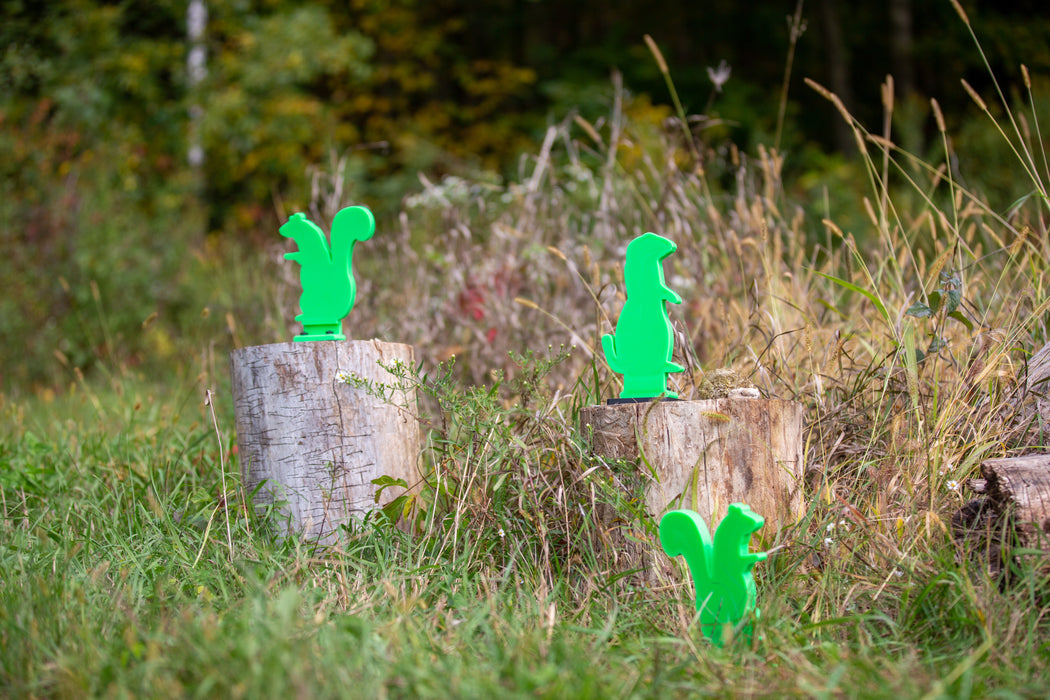 Squirrel BOUNCEBACK® Series